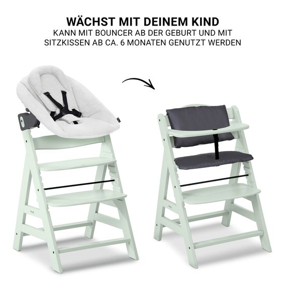 Hauck Alpha Plus 4-pc. Newborn Set - High Chair + 2in1 Newborn Attachment & Rocker Premium + Seat Cushion Deluxe - Mint