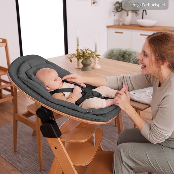 Hauck Alpha Plus Set Newborn 4 pz. - Seggiolone + Supporto neonato & Dondolo Eco + Cuscino seduta - Deep Grey - Nero