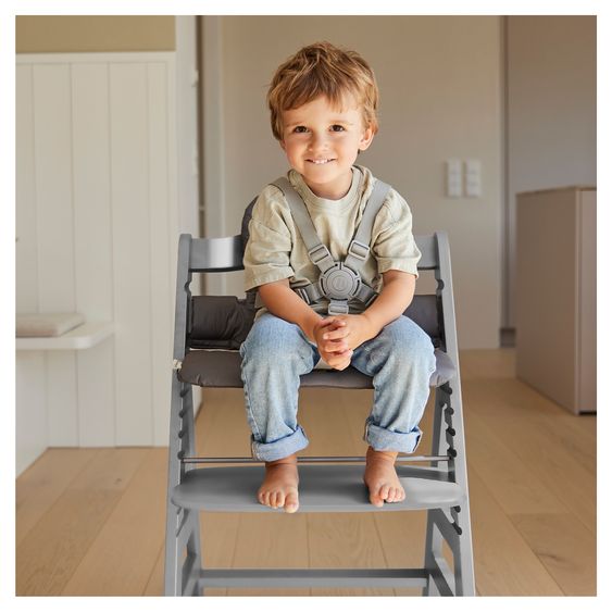 Hauck Alpha Plus Set Neonato 4 pz. - Seggiolone + Riduttore Neonato & Dondolo Eco + Cuscino Seduta - Grigio