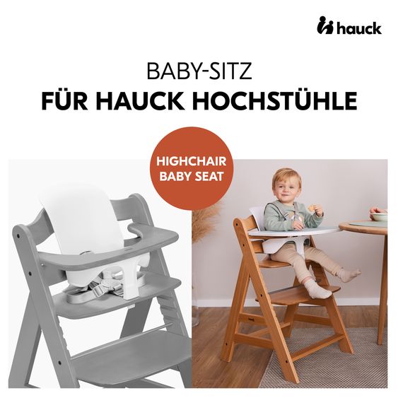 Hauck Alpha Plus 5-tlg. Newborn Set - Hochstuhl + 2in1 Neugeborenenaufsatz & Wippe + Baby Seat + Essbrett - Grey
