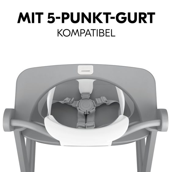 Hauck Alpha Plus 5-tlg. Newborn Set - Hochstuhl + 2in1 Neugeborenenaufsatz & Wippe + Baby Seat + Essbrett - Stretch Grey - Black