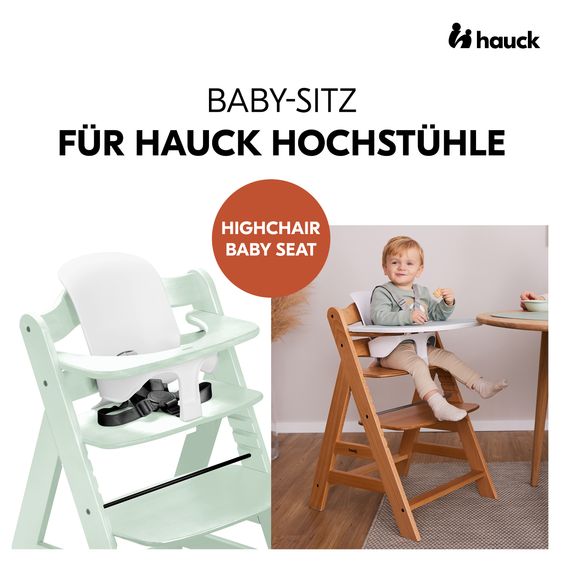 Hauck Alpha Plus 5-pcs. Newborn Set - Highchair + 2in1 Newborn Insert & Rocker + Baby Seat + Tray - Mint