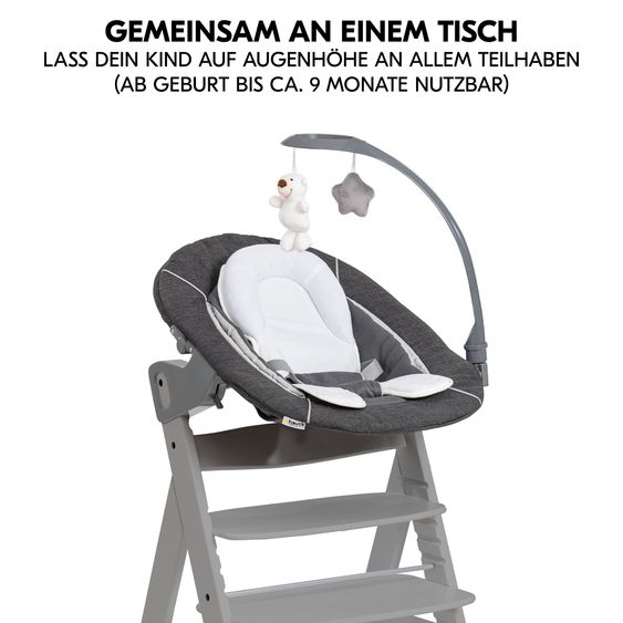 Hauck Alpha Plus 5-tlg. Newborn Set - Hochstuhl + 2in1 Neugeborenenaufsatz & Wippe Deluxe + Baby Seat + Essbrett - Grey