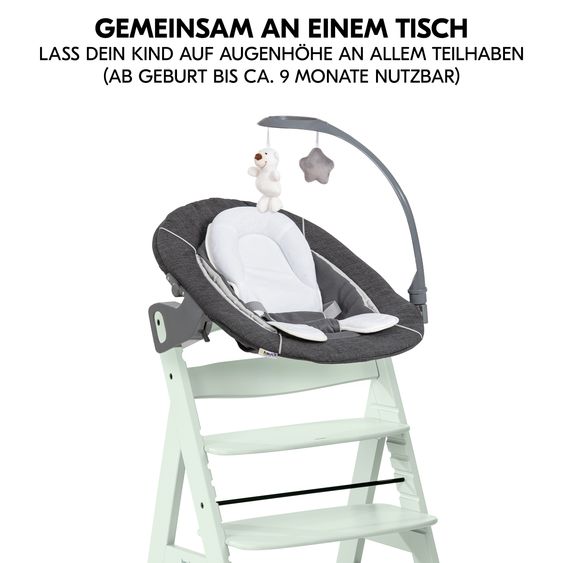 Hauck Alpha Plus 5-pcs. Newborn Set - Highchair + 2in1 Newborn Insert & Deluxe Rocker + Baby Seat + Tray - Mint