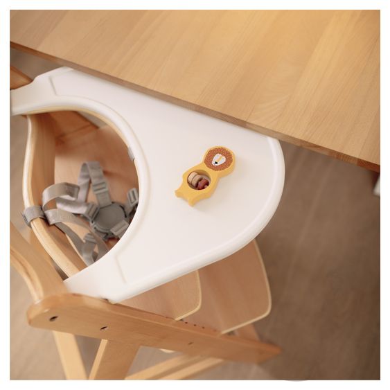 Hauck Alpha Plus 5-tlg. Newborn Set - Hochstuhl + 2in1 Neugeborenenaufsatz & Wippe Eco + Baby Seat + Essbrett - Deep Grey - Natur