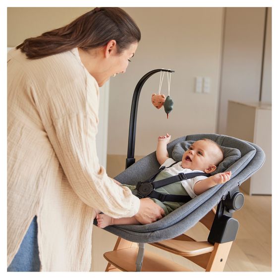 Hauck Alpha Plus 5-pcs. Newborn Set - Highchair + 2in1 Newborn Insert & Rocker + Deluxe Seat Cushion + Play Arch - Nature