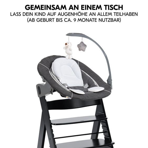 Hauck Alpha Plus Black 4-tlg. Newborn Set Deluxe - Hochstuhl + 2in1 Babyaufsatz & Wippe + Sitzkissen - Melange Grey