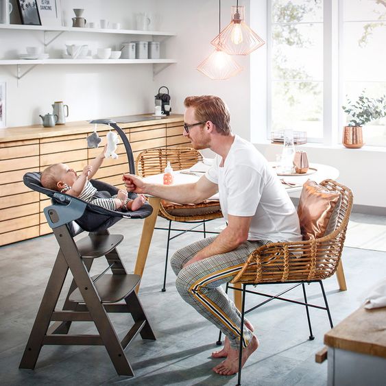 Hauck Alpha Plus Charcoal Newborn Set Deluxe - 4-piece high chair + 2in1 newborn insert (adjustable) + seat cushion
