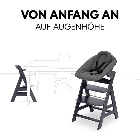 Hauck Alpha Plus Set neonato grigio scuro - seggiolone + attacco neonato