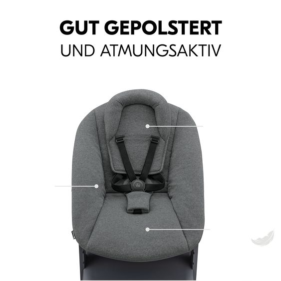 Hauck Alpha Plus Set neonato grigio scuro - seggiolone + attacco neonato