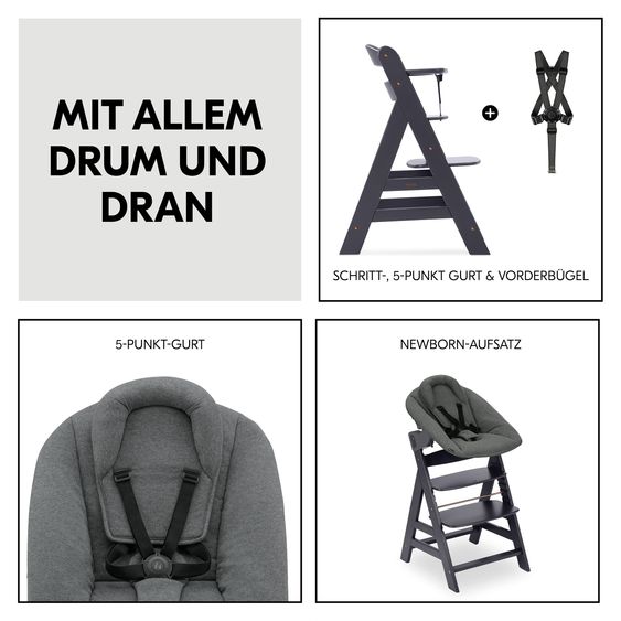 Hauck Alpha Plus Set neonato grigio scuro - seggiolone + attacco neonato
