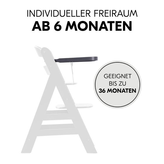 Hauck Alpha Plus Dark Grey Newborn Set - High Chair + Newborn Insert + Tray - Dark Grey