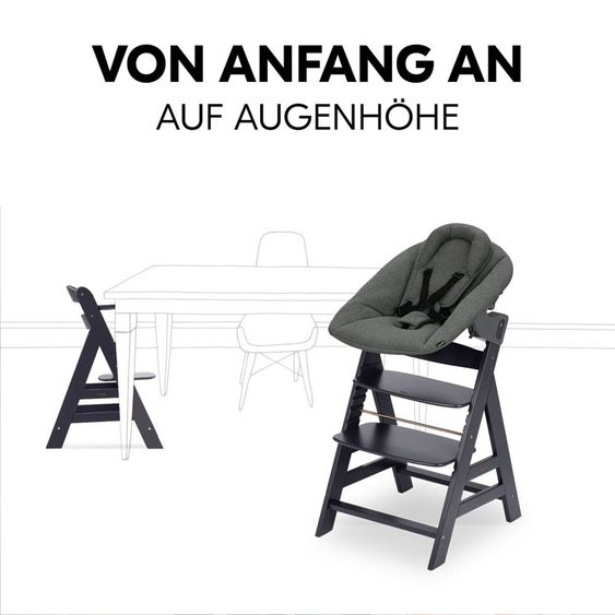 Hauck Alpha Plus Dark Grey Newborn Set - High Chair + Newborn Insert + Tray - Dark Grey