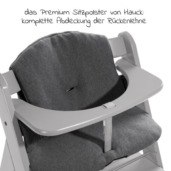 Hauck Alpha Plus Grau Newborn Set - 4-tlg. Hochstuhl + Aufsatz & Wippe Premium Jersey Charcoal + Sitzpolster