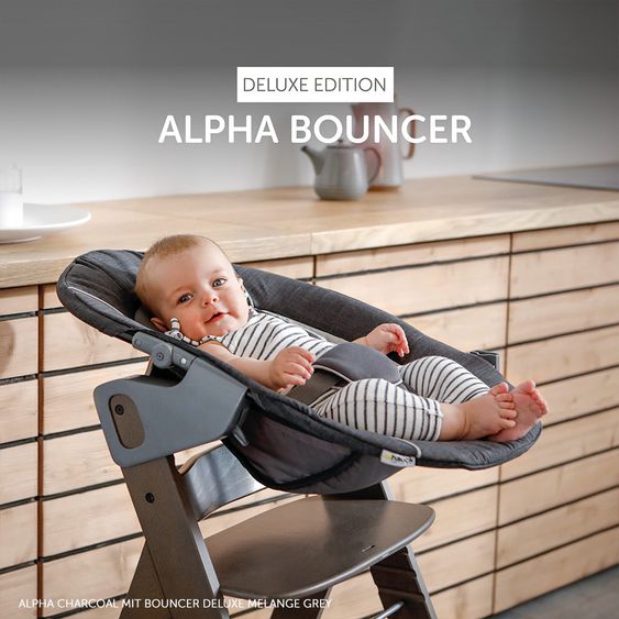 Hauck Alpha Plus Grau Newborn Set Deluxe - 4-tlg. Hochstuhl + 2in1 Neugeboreneneinsatz (verstellbar) + Sitzpolster