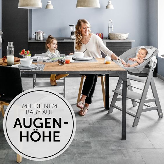 Hauck Alpha Plus Grey 4-tlg. Newborn Set Pastell Bear - Hochstuhl + Neugeborenenaufsatz & Wippe + Sitzkissen Nordic Grey