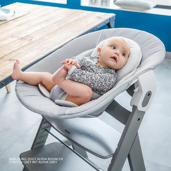 Hauck Alpha Plus Grey Newborn Set - 4-tlg. Hochstuhl + Neugeborenenaufsatz & Wippe Stretch Grey + Sitzkissen