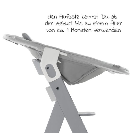 Hauck Alpha Plus Grey Newborn Set Pastell Bear - 4-tlg. Hochstuhl + Neugeborenenaufsatz + Sitzkissen Grau