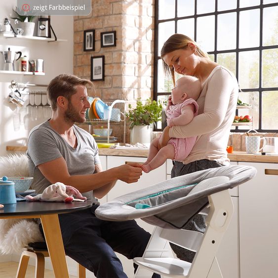 Hauck Alpha Plus Natur 5-tlg. XXL Newborn Set - Hochstuhl + 2in1 Neugeboreneneinsatz + Alpha Tray + Sitzpolster