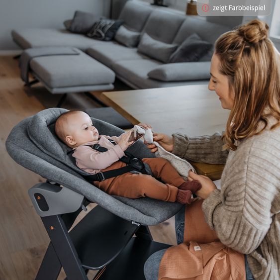 Hauck Set Neonato 5 pz Alpha Plus Seggiolone + Dondolo 2in1 Premium in Dark Grey + Alpha Tray Tavoletta per Pasti + Riduttore Jersey + Cuscino per Seggiolone in Melange Charcoal - Naturale