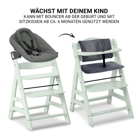 Hauck Alpha Plus Newborn Set - Highchair + Bouncer 2in1 Premium in Dark Grey + Deluxe Seat Cushion in Grey - Mint