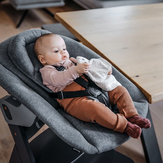 Hauck Alpha Plus Rose 4-tlg. Newborn Set - Hochstuhl + 2in1 Neugeborenen-Aufsatz & Wippe + Hochstuhlauflage - Jersey Charcoal