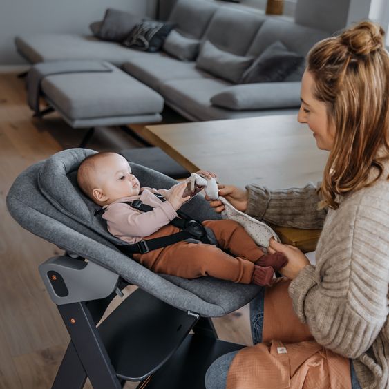 Hauck Alpha Plus Rose 4-tlg. Newborn Set - Hochstuhl + 2in1 Neugeborenen-Aufsatz & Wippe + Hochstuhlauflage - Jersey Charcoal