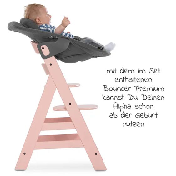 Hauck Alpha Plus Rose 4-tlg. Newborn Set - Hochstuhl + 2in1 Neugeborenen-Aufsatz & Wippe + Hochstuhlauflage - Jersey Charcoal