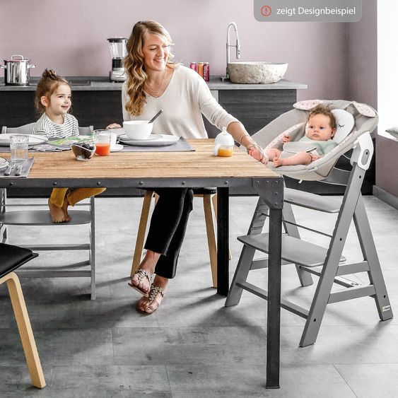 Hauck Alpha Plus Select Charcoal 4-pc Newborn Set - High Chair + 2in1 Baby Attachment & Rocker Bambi + Tray + Minnie Mouse Seat Cushion - Disney - Rose
