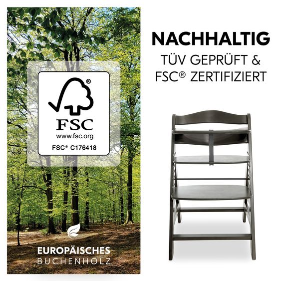 Hauck Alpha Plus Select Charcoal 4-tlg. Newbornset Light Grey - Hochstuhl + Neugeborenenaufsatz & Wippe + Sitzkissen Nordic Grey