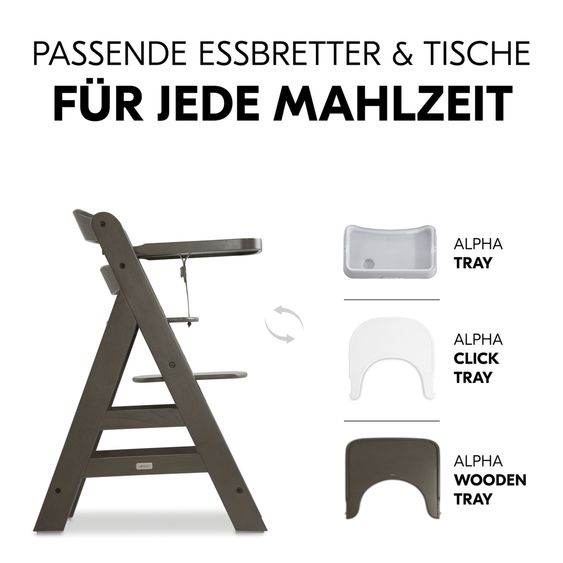 Hauck Alpha Plus Select Charcoal 4-tlg. Newbornset Light Grey - Hochstuhl + Neugeborenenaufsatz & Wippe + Sitzkissen Nordic Grey