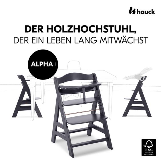 Hauck Alpha Plus Select Grigio Scuro Set 4 pezzi per neonati - Seggiolone + Attaccabimbi e dondolo 2in1 + Cuscino di seduta - Grigio Stretch