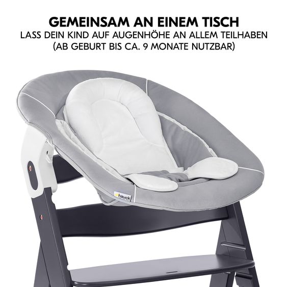 Hauck Alpha Plus Select Grigio Scuro Set 4 pezzi per neonati - Seggiolone + Attaccabimbi e dondolo 2in1 + Cuscino di seduta - Grigio Stretch