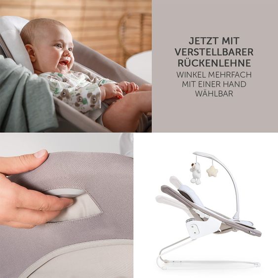 Hauck Alpha Plus Walnut Newborn Set Deluxe - 4-tlg. Hochstuhl + Neugeborenenaufsatz (Rückenlehne verstellbar) + Sitzkissen