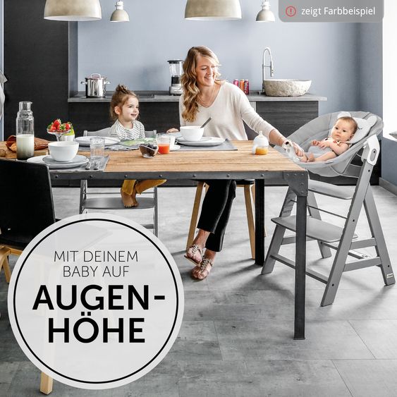 Hauck Alpha Plus White 4-tlg. Newborn Set Pastell Bear - Hochstuhl + Neugeborenenaufsatz + Sitzkissen Nordic Grey
