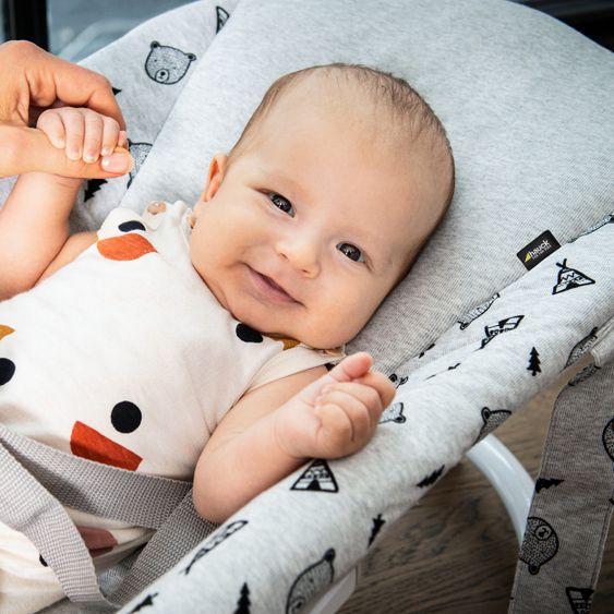 Hauck Alpha Plus White Newborn Set - 4-tlg. Hochstuhl + Aufsatz & Wippe Premium Nordic Grey + Sitzpolster