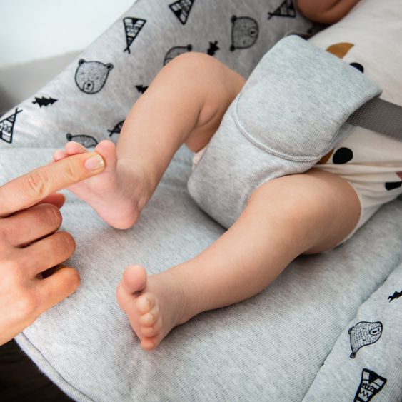 Hauck Alpha Plus White Newborn Set - 4-tlg. Hochstuhl + Aufsatz & Wippe Premium Nordic Grey + Sitzpolster