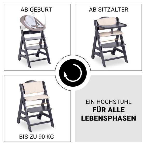 Hauck Beta Plus 5-pcs Newborn Set - Highchair + 2in1 Newborn Insert & Rocker Deluxe + Feeding Tray + Seat Cushion - Dark Grey