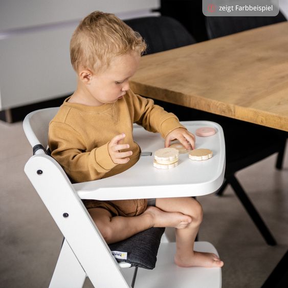 Hauck Beta Plus 5-pcs Newborn Set - Highchair + 2in1 Newborn Insert & Rocker Deluxe + Feeding Tray + Seat Cushion - Dark Grey