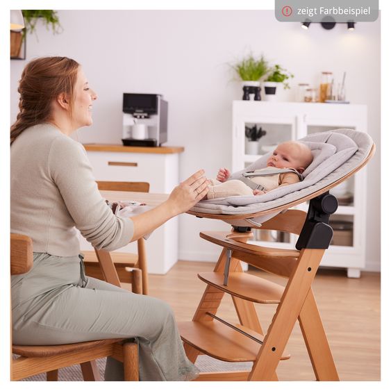 Hauck Beta Plus 5-tlg. Newborn Set - Hochstuhl + Neugeborenenaufsatz & Wippe Eco + Sitzkissen + Essbrett - Dark Grey