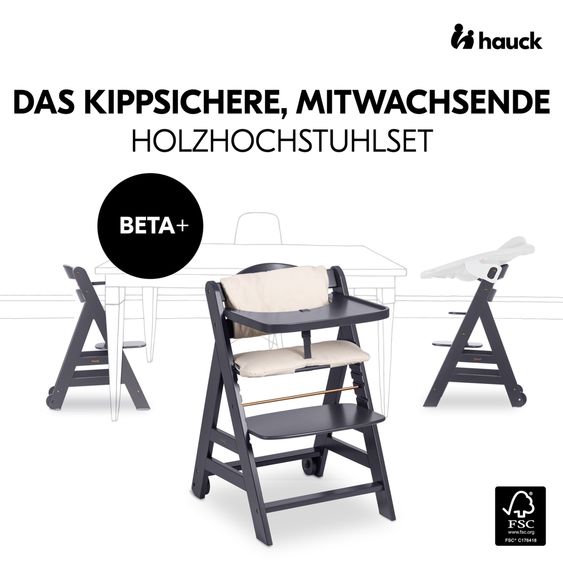 Hauck Set per neonati Beta Plus Grigio Scuro 5 pezzi - seggiolone + 2in1 aggancio per neonato e sdraietta deluxe, asse per mangiare, cuscino per sedersi - Grigio Melange