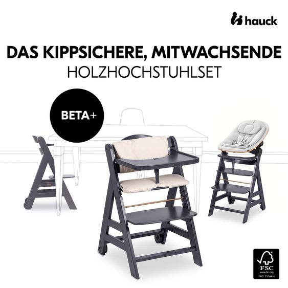 Hauck Beta Plus Grigio Scuro Set neonato 5 pezzi Eco - seggiolone + dondolo 2in1, tavola da pranzo, cuscino di seduta - Grigio chiaro