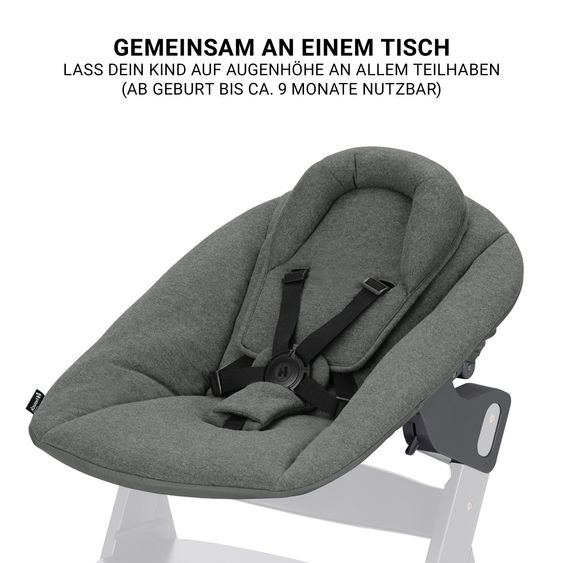 Hauck Beta Plus Natural 5-piece Newborn Set - Highchair + 2in1 newborn attachment & Premium bouncer, feeding board, seat cushion - Dark Grey