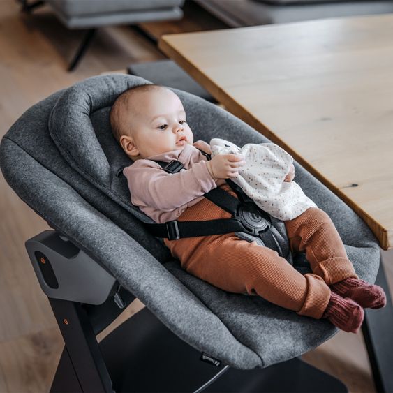 Hauck Bouncer 2in1 Premium (adjustable newborn attachment & bouncer) for Alpha & Beta high chair - Dark Grey