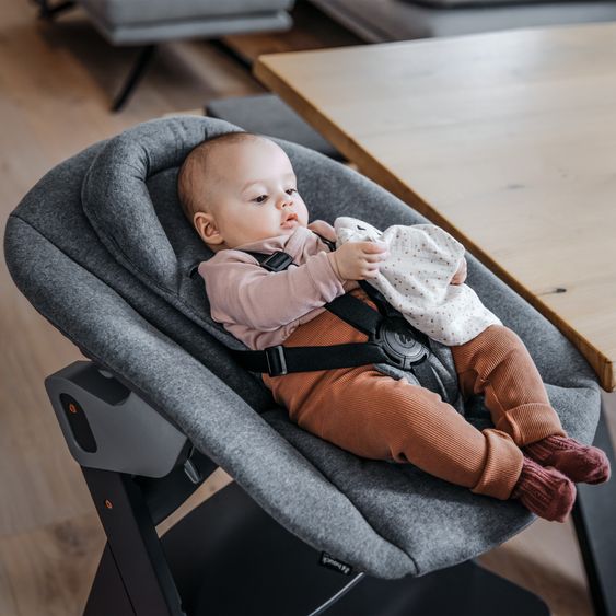 Hauck Sdraietta 2in1 Premium (aggancio regolabile per neonati e sdraietta) per seggiolone Alpha e Beta - Grigio Scuro