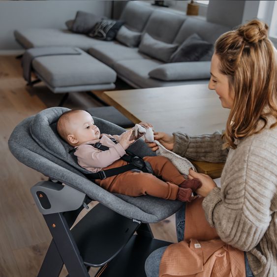 Hauck Bouncer 2in1 Premium (adjustable newborn attachment & bouncer) for Alpha & Beta high chair - Dark Grey