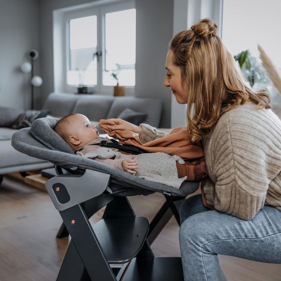 Hauck Sdraietta 2in1 Premium (aggancio regolabile per neonati e sdraietta) per seggiolone Alpha e Beta - Grigio Scuro