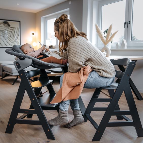 Hauck Bouncer 2in1 Premium (adjustable newborn attachment & bouncer) for Alpha & Beta high chair - Dark Grey