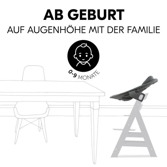 Hauck Bouncer 2in1 Premium (adjustable newborn attachment & bouncer) for Alpha & Beta high chair - Dark Grey