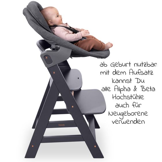 Hauck Bouncer 2in1 Premium (adjustable newborn attachment & bouncer) for Alpha & Beta high chair - Dark Grey